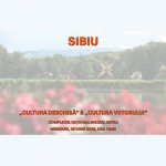 Întâlnire de lucru la Sibiu privind politicile publice „Cultura deschisă” și „Cultura viitorului” 