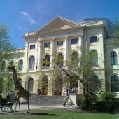 Muzeul Naţional de Știinţe Naturale ”Grigore Antipa”